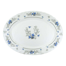 دیس بیضی بزرگ کد 120 پارس اوپال