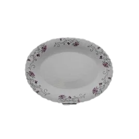 دیس بیضی بزرگ کد 124 پارس اوپال