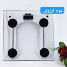 ترازو وزن کشی دیجیتال افق کمری